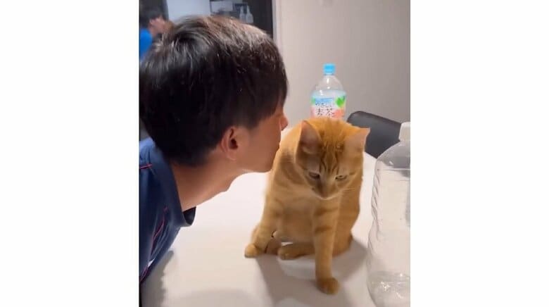 パパさんのキスを器用によけ続けている