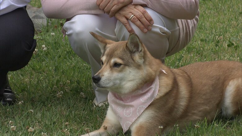 結婚25周年映像の由莉はピンクのバンダナ姿　2018年6月　宮内庁提供