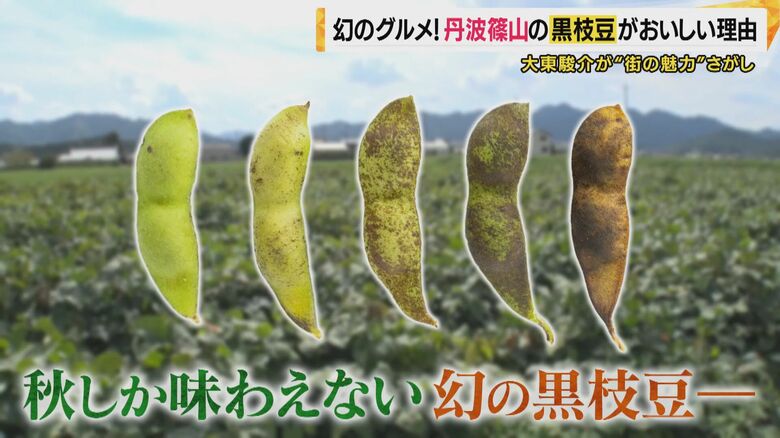 1週間ごとに変わる黒枝豆