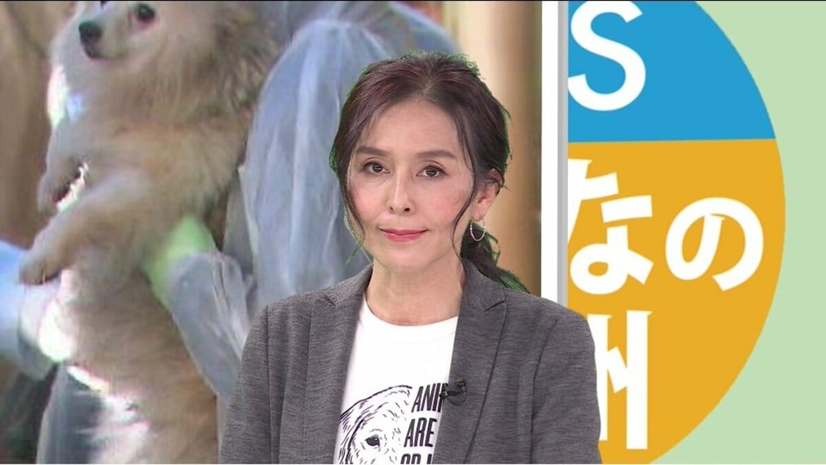 杉本彩さん絶句「犬がぼろ雑巾のように…」 “史上最悪”犬452匹虐待事件の初公判【長野発】｜FNNプライムオンライン