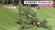 公園で長さ4メートル・直径20センチの木の枝が落下　子ども3人けが　9歳男児は頭を強く打ち重傷か　強風で折れた可能性　京都・宇治市