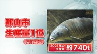 悩みは“天敵”「カワウ」  鯉の生産日本一・郡山市　鯉食文化を子どもたちに繋ぐ 【福島発】