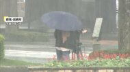 “元台風2号”によるゲリラ雷雨…千葉・松戸市では冠水被害　今年の梅雨は「メリハリ型」で野菜価格に影響懸念も