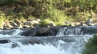「人が下流に」目撃者が110番通報　桂川で釣りの男性（84）流され死亡　1人で釣りに来ていたか　山梨・大月市