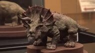 “チョコレート恐竜”が県立恐竜博物館に出現　世界的パティシエ・小山進さんが「フクイベナートル」など11点を製作　2月23日まで展示