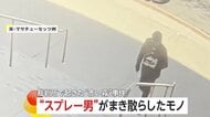 「唐辛子スプレー」噴射男が裁判所侵入　ヘルメットとガスマスク装着で警察官に「プシューッ」過去にも同様事件　アメリカ