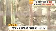サイ舎で飼育員が重傷　熊本市動植物園が会見「安全確認が不十分だったか」
