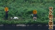 【映像】旬の「秋サケ」密漁の一部始終　卵を取り出し皮を捨てたか　ドローンが捉えた8人に怒りの声　北海道・幕別町