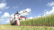 2021年産コメの作柄 県全体の作況3年連続「やや良」秋田