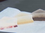 クラブハリエが手掛けた新作も…チョコの祭典『アムール・デュ・ショコラ』20日開幕 約2500種類一堂に