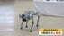 深刻化する獣害　“動物を追い払う”四足歩行ロボットの効果は―　南…