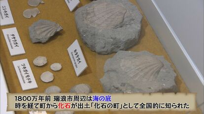 化石　F-8 化石 F-8 （奇跡の恐竜化石、世紀の大発見 写真18点 | Fossil