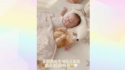 2歳児 人気 腕枕