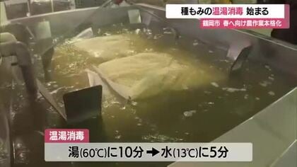 春の風物詩「種もみの消毒作業」はじまる　山形・鶴岡市