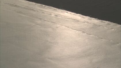 「越前鳥の子紙」がユネスコ無形文化遺産に追加登録へ　黄みを帯びた卵の殻のような色合い、滑らかな紙肌が特徴　福井