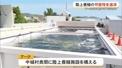 陸上養殖を起点に新たな水産業を創生　ARKが中城の施設を公開