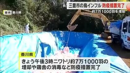 三豊市の高病原性鳥インフルエンザ　殺処分の約７．１万羽のニワトリ埋却など一連の防疫措置完了【香川】