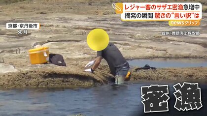 「ちょっと取ってみた」で済まず…レジャー客の密漁相次ぐ　大きな網とクーラーボックスにサザエ約200個　海保が摘発映像を公開