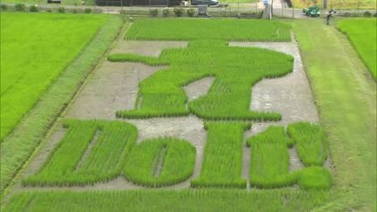 「Ｄｏ　Ｉｔ！」の文字とともにギターを持った“永ちゃん”がアート田んぼに姿現す【岡山・美作市】