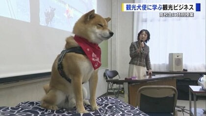 観光“犬”使？柴犬のジェームスくん　広島の高校で特別授業中、ウトウト…「本気出す？」飼い主とのかけ合いに和やかムード