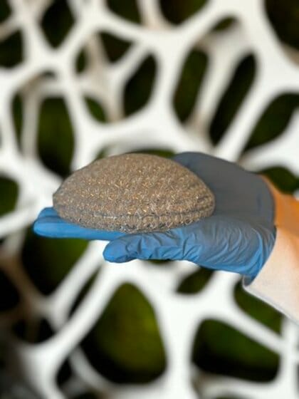 ストラタシスとCollPlant社、商用サイズの再生乳房インプラントの前臨床試験を発表