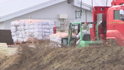 【安平町の養鶏所で鳥インフル確認】約19万羽を“殺処分”へ…処分は24時間体制で5日間ほどかかる見通し＿”渡り鳥の季節”に警戒強める＿周辺7つの農場もニワトリの移動や搬出を制限〈北海道 安平町〉