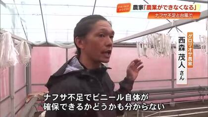 台風接近でハウス農家に不安、ナフサ不足でビニール破れたら「農業自体がストップ」【高知】