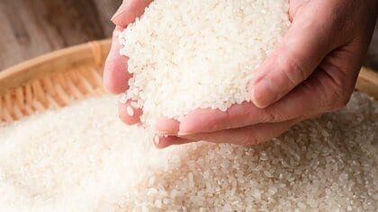 お米の「旬」は実は年明け？「味がのってくる」のは収穫から3～4カ月後！おいしさを引き出すには「保管」が大切
