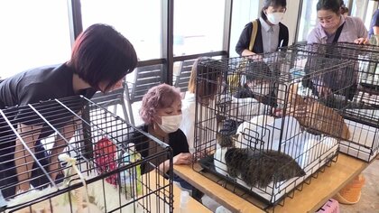保護犬が“ワンシェルジュ”として出迎え　「1匹でも多く命を繋ぐ」ホテルで犬と猫の譲渡会【長崎発】