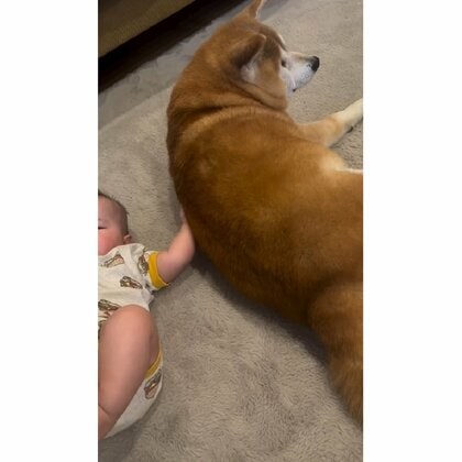 なんて微笑ましい光景」赤ちゃんに何をされても動じない“おじいちゃん