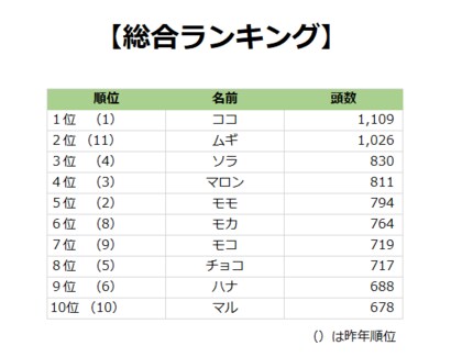 毎年恒例 第16回 犬の名前ランキング