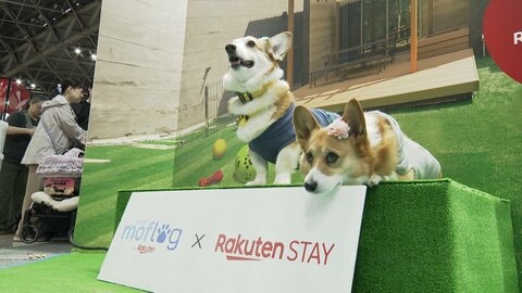 ペットの暑さ対策商品拡充　市場に異業種参入続々