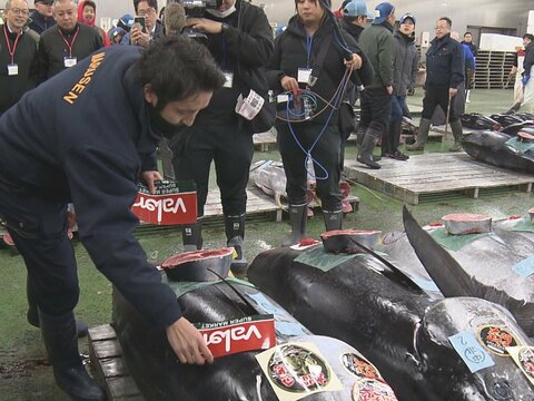 本マグロは過去5年で最多…名古屋市中央卸売市場で「初市」最高値の“一番マグロ”はバローが約650万円で競り落とす