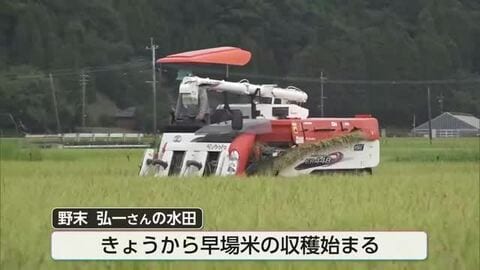 早場米の収穫始まる　概算金は前年より4割余り下落　農家からは経営不安の声