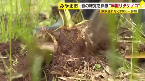 春の味覚を体験“早堀りタケノコ”　家族連れなど約８０人参加　福岡・みやま市
