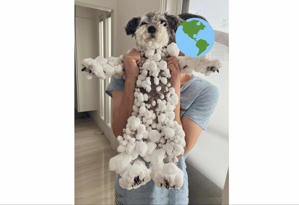 大はしゃぎで雪山に飛び込んだ犬が“雪玉だらけ”で爆笑…どうしてこんな