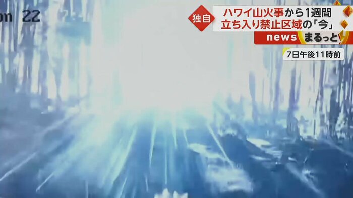 監視カメラの映像。7日午後11時前、林の中に激しい閃光が走った。