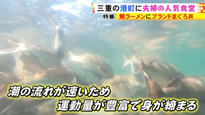 ニュースONE