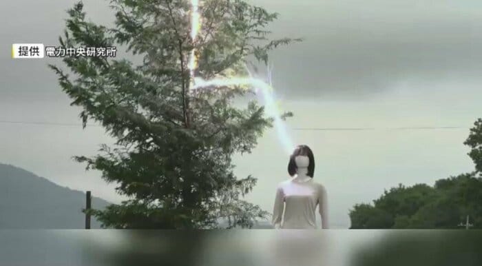 「木の下の雨宿り」に注意(提供:電力中央研究所)