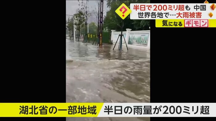(中国SNS)