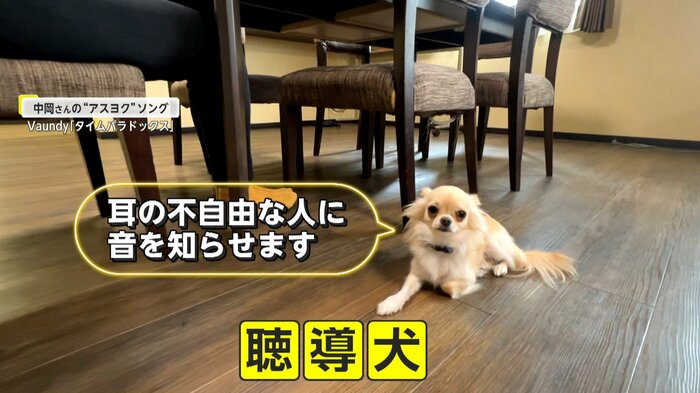 耳が不自由な人の生活を支える「聴導犬」