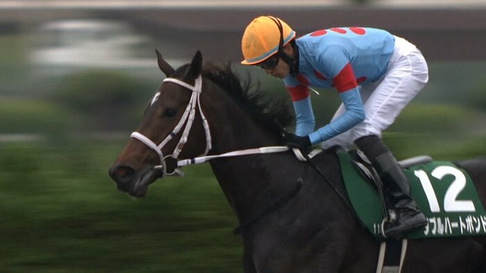 11月 みやこSで重賞初制覇のダブルハートボンド