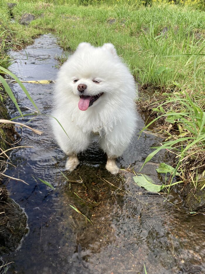 海以外でも水遊び