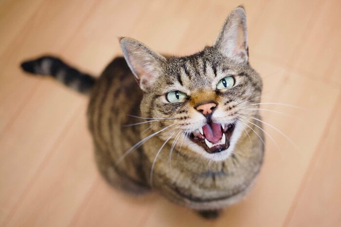 （画像はイメージ）