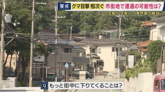 市街地に直接クマが下りてくるリスクは?
