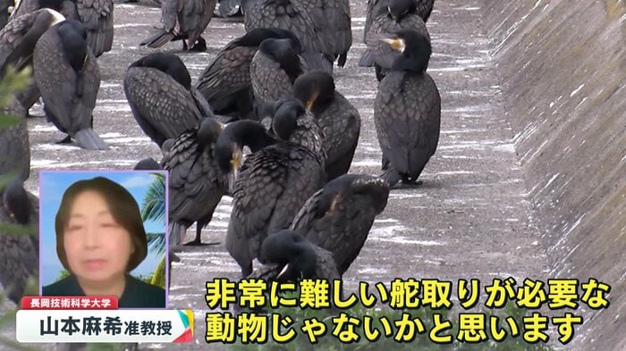 長岡技術科学大学・山本麻希准教授