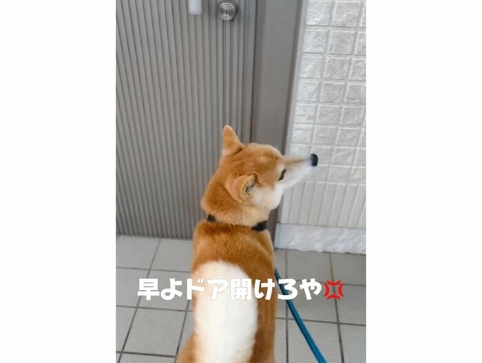 提供:556さん