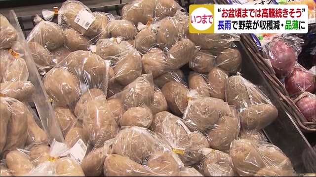野菜が品薄 価格高騰続く…梅雨の長雨影響【愛媛】