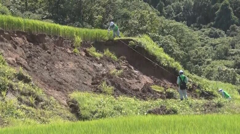 記録的な大雨で“水田”に被害…早期復旧へ農水省支援チームが調査「直らなければ来年作付けできない」新潟・佐渡市｜FNNプライムオンライン