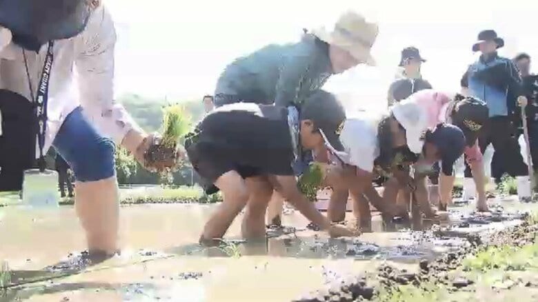 全校児童19人が泥んこに　小学生が恒例の田植え体験　ブランド米「夢つくし」を丁寧に　秋には稲刈りして収穫も　福岡・北九州市｜FNNプライムオンライン